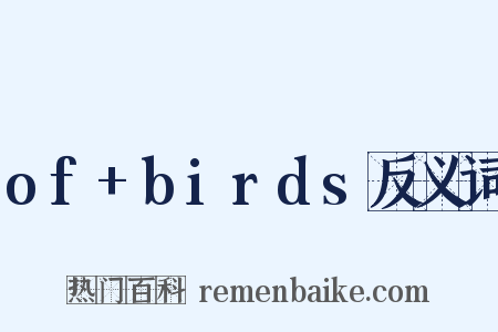 of+birds反义词是什么意思的图片